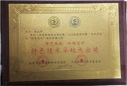 荣誉证书10